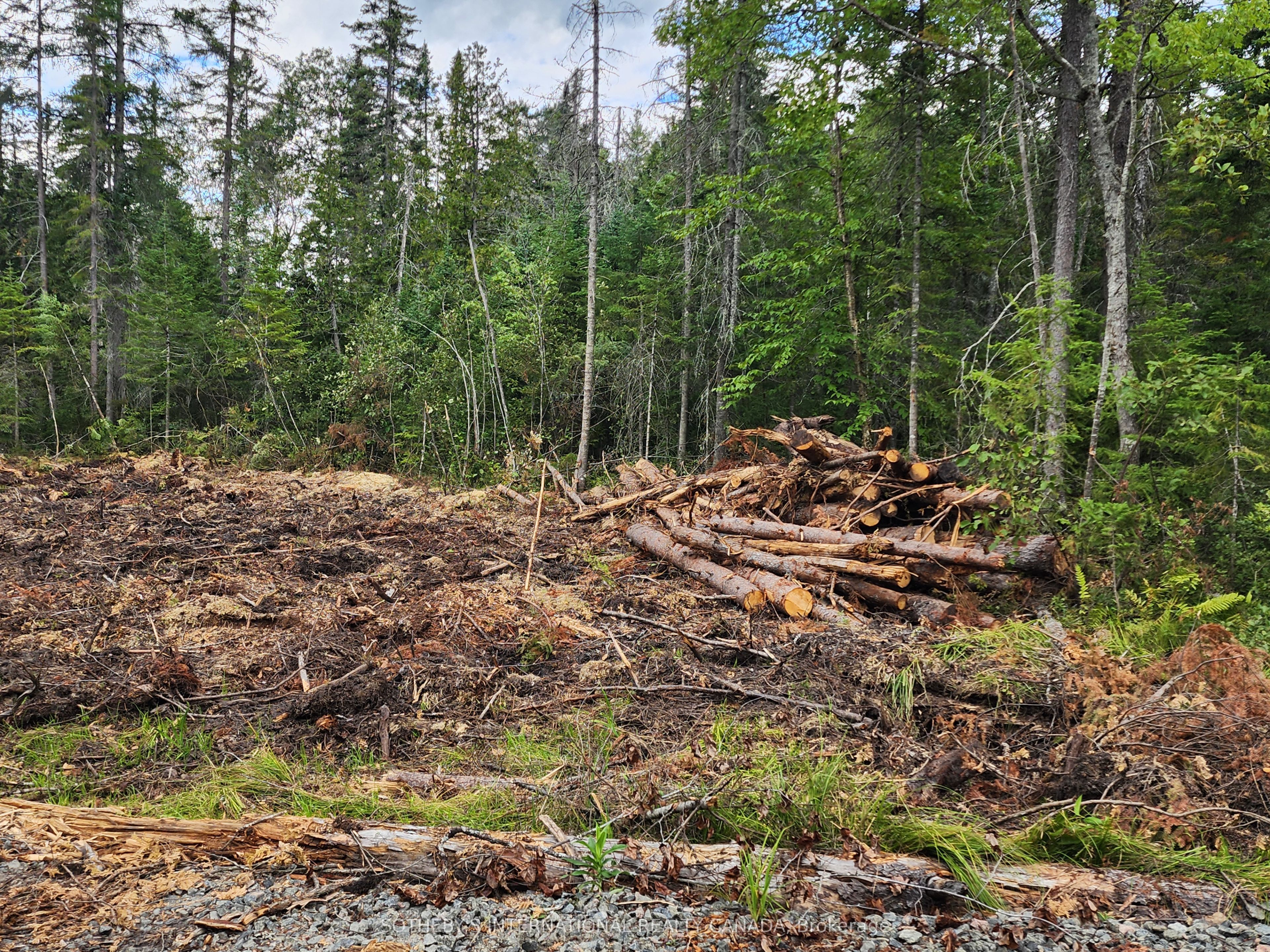 1022 Thompson Road, Bracebridge, ON P1L 1X1 photo 2