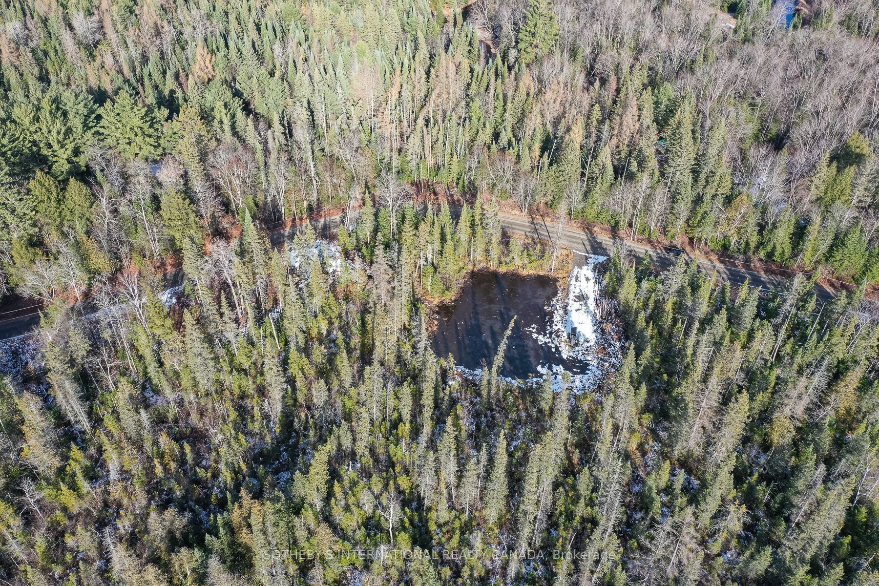 1022 Thompson Road, Bracebridge, ON P1L 1X1 photo 3