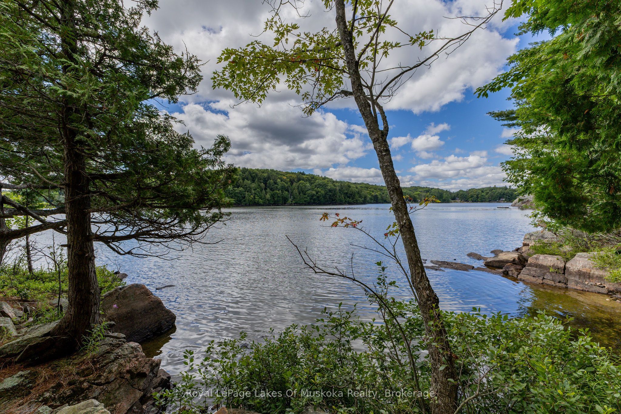 25-1235 Shea Road, Muskoka Lakes, ON P0B 0A2 photo 5