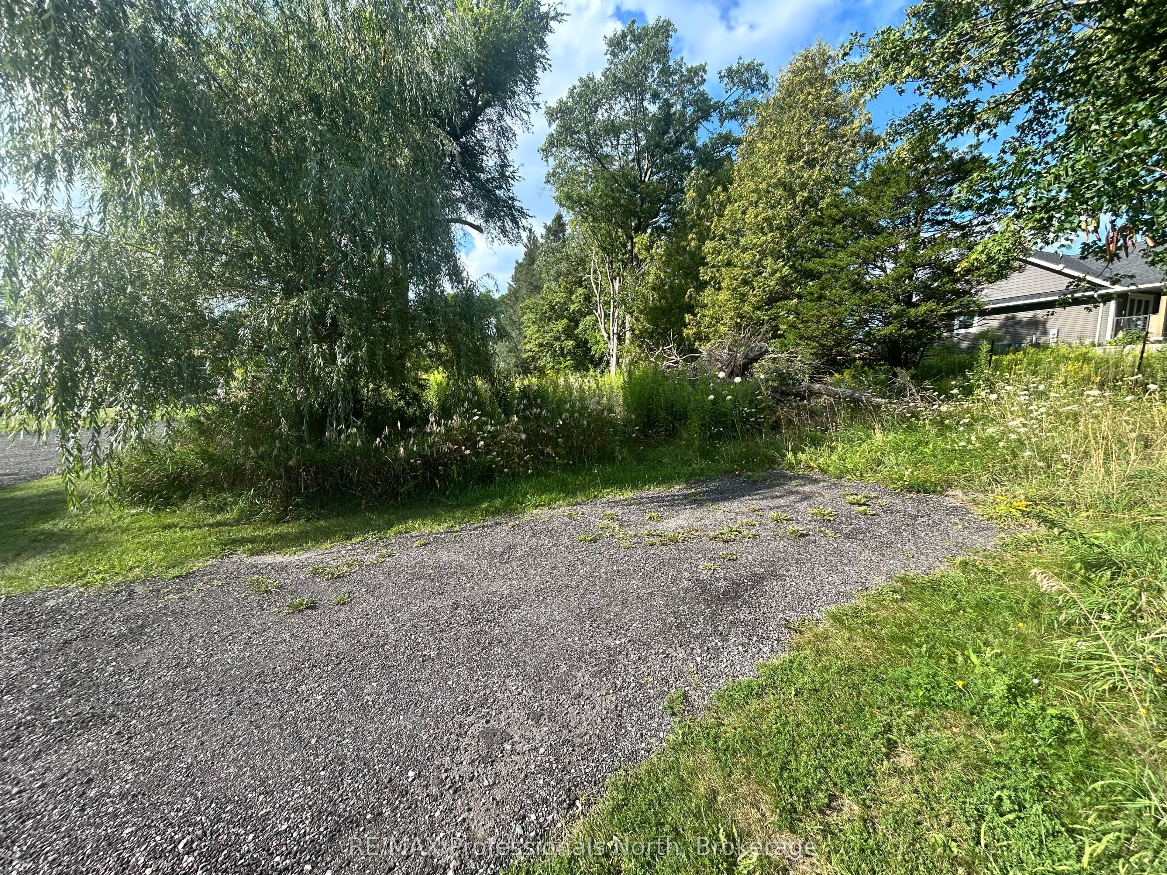 4437 Highway 7, Kawartha Lakes, ON K0L 2W0 photo 3