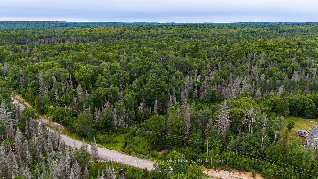 286 Halls Road E, Magnetawan, ON P0A 1Z0 photo 2