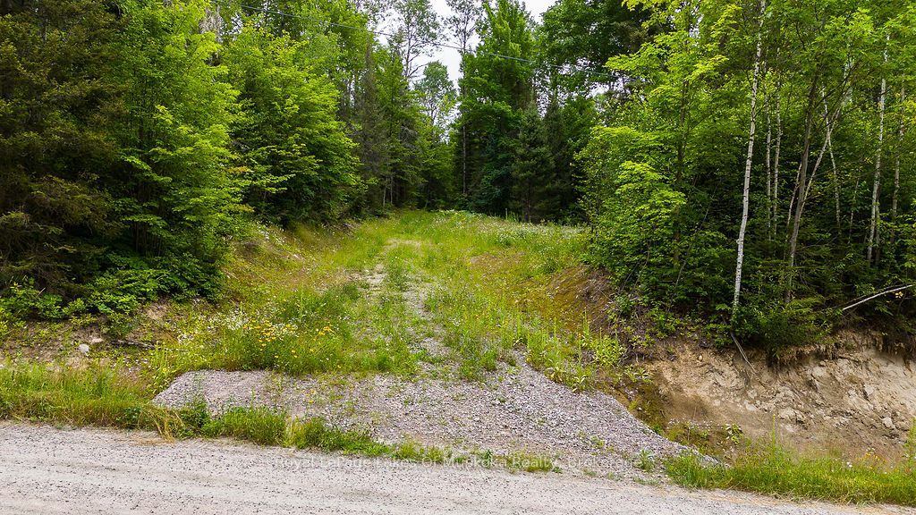 286 Halls Road E, Magnetawan, ON P0A 1Z0 photo 3