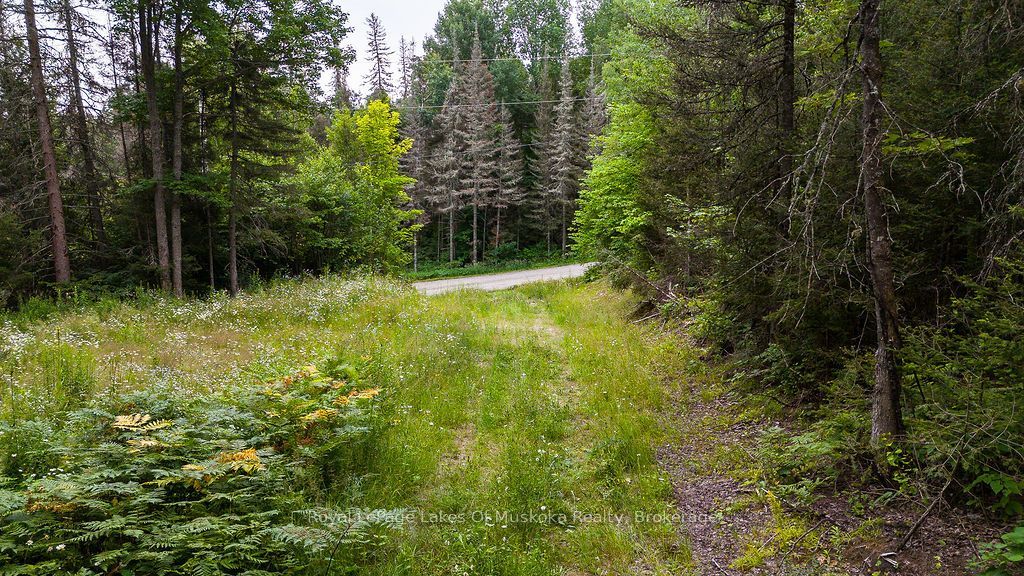 286 Halls Road E, Magnetawan, ON P0A 1Z0 photo 4