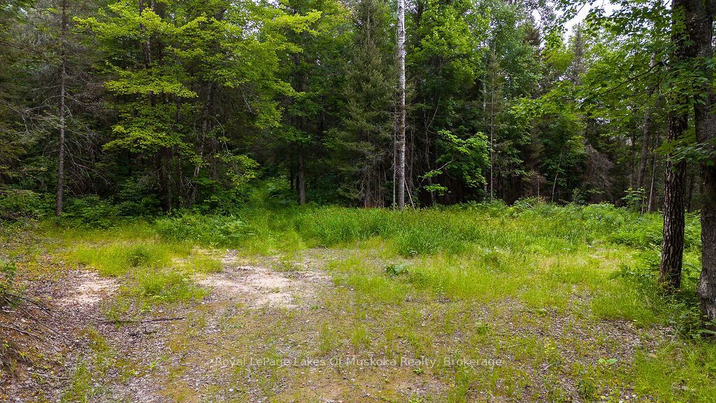 286 Halls Road E, Magnetawan, ON P0A 1Z0 photo 5