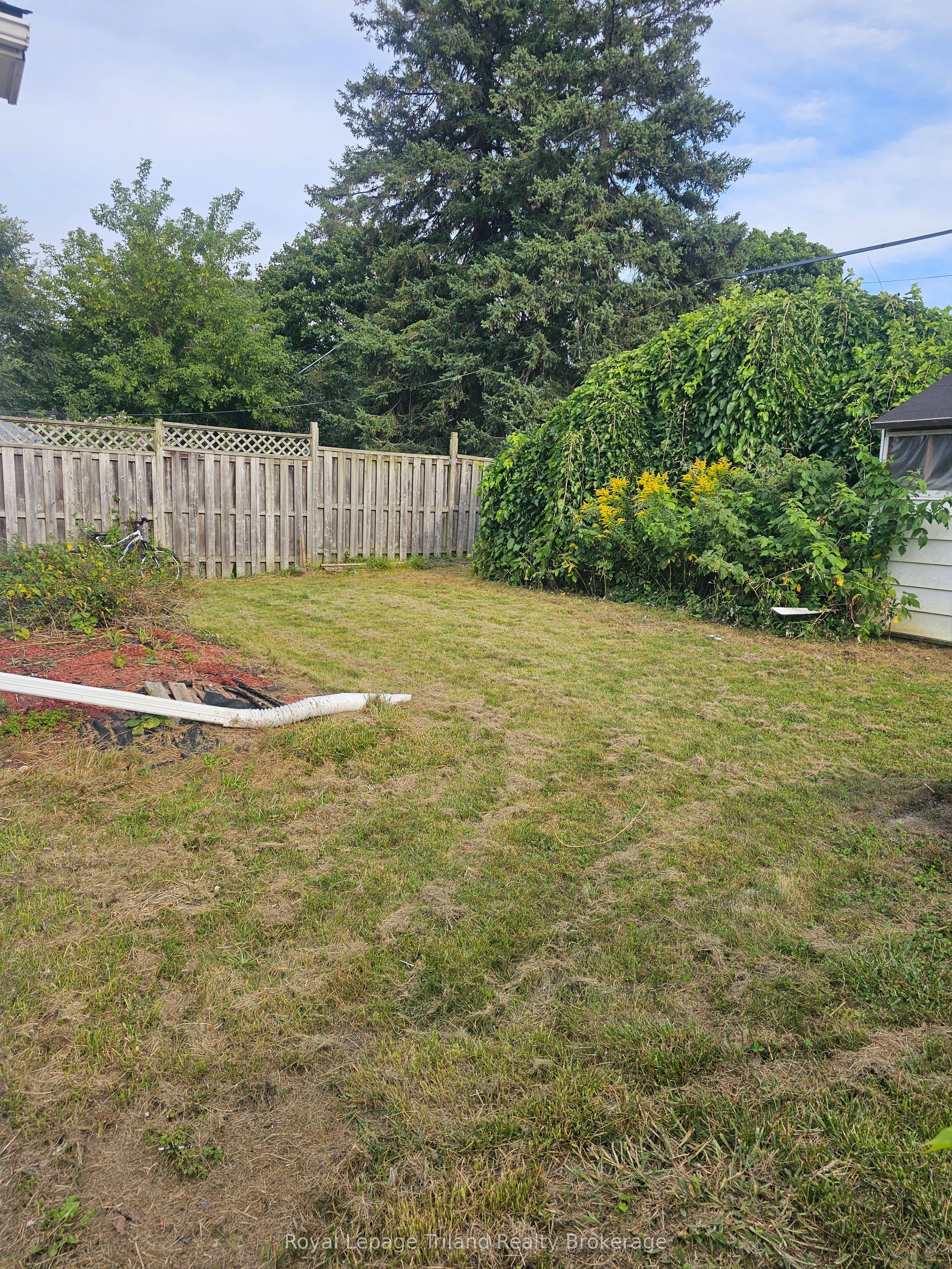 772 Devonshire Avenue, Woodstock, ON N4S 5R5 photo 5