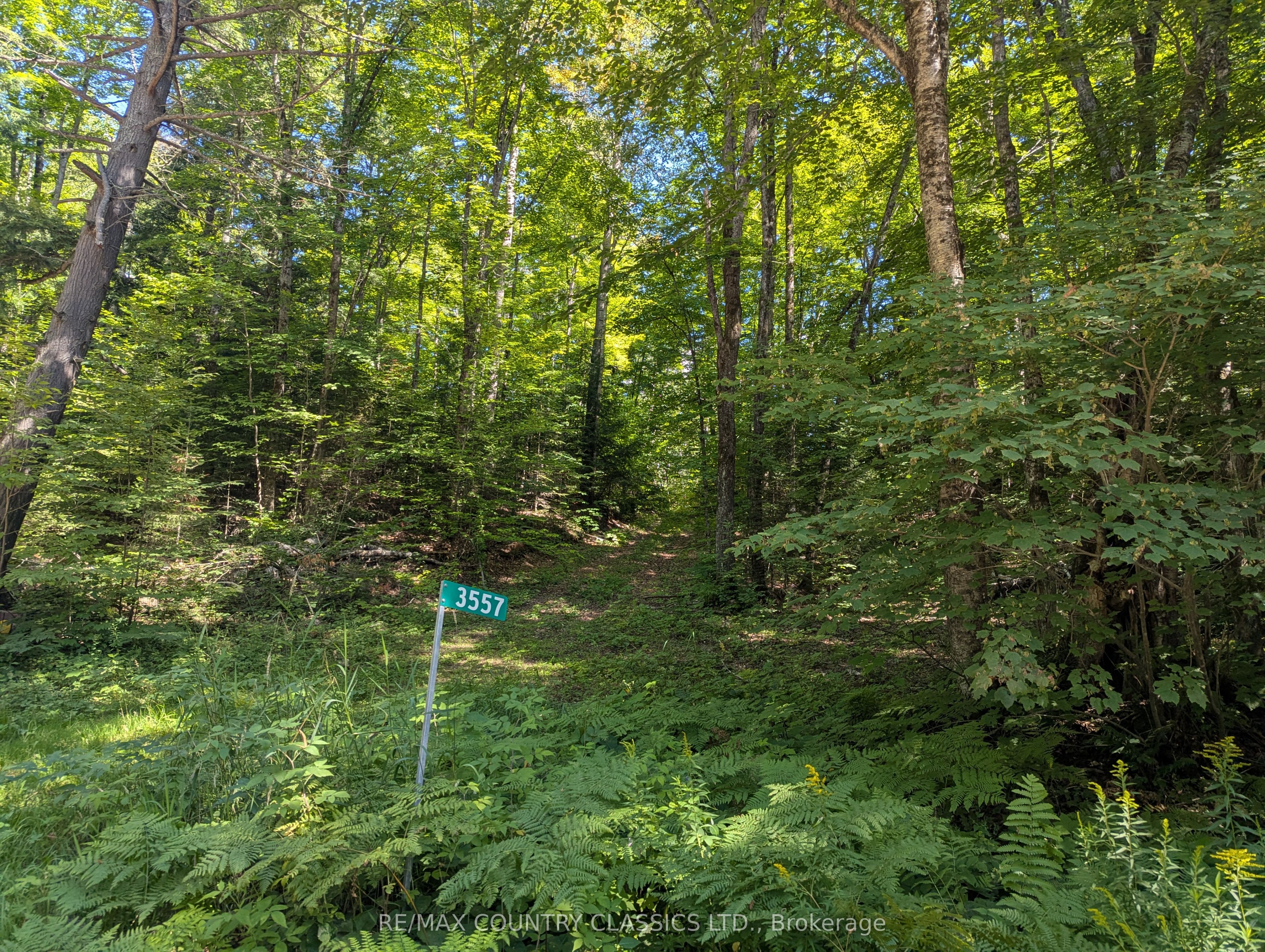 3557 Mountainview Road, Killaloe, Hagarty and Richards, ON K0J 2A0