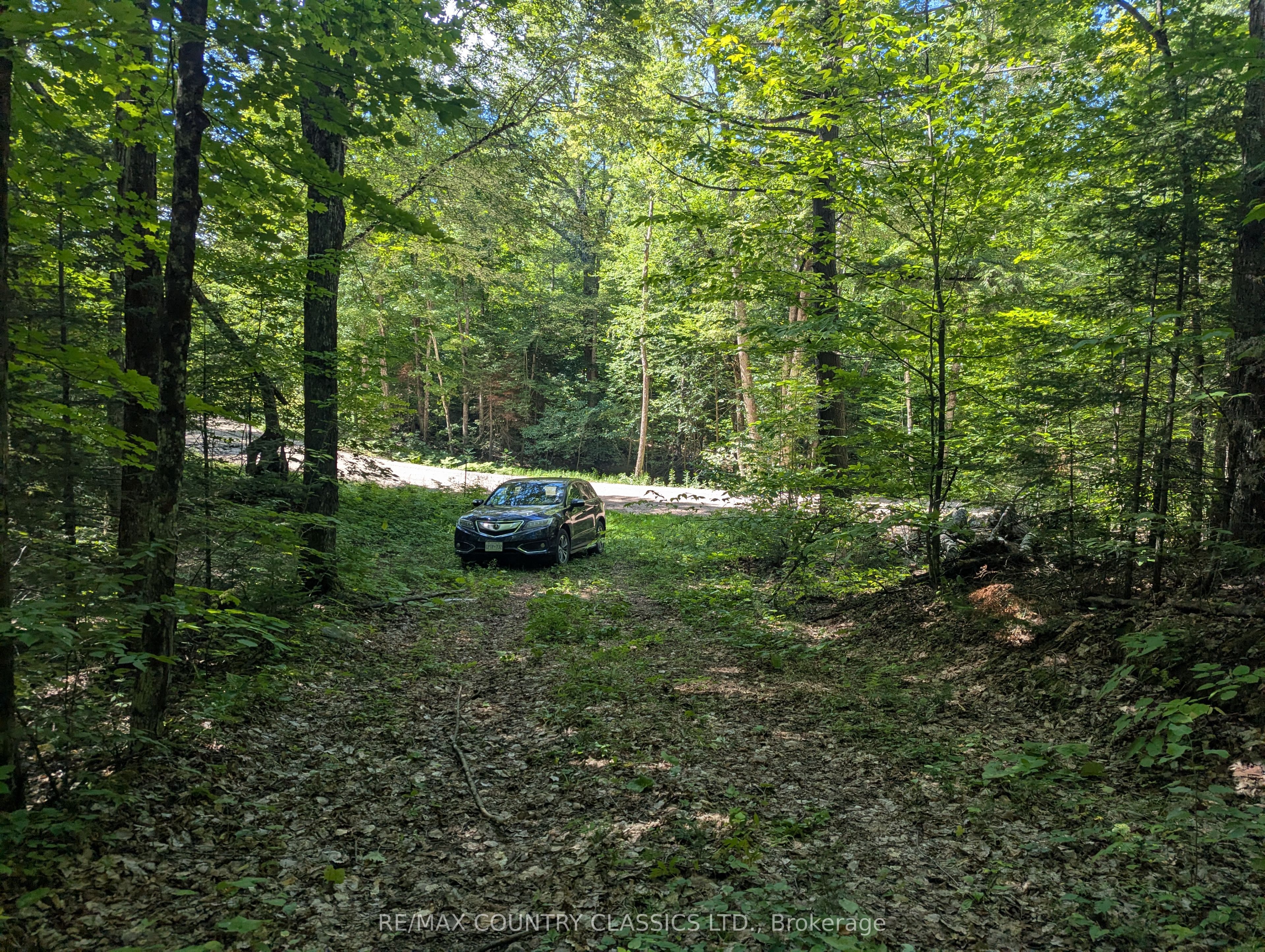 3557 Mountainview Road, Killaloe, Hagarty and Richards, ON K0J 2A0 photo 2