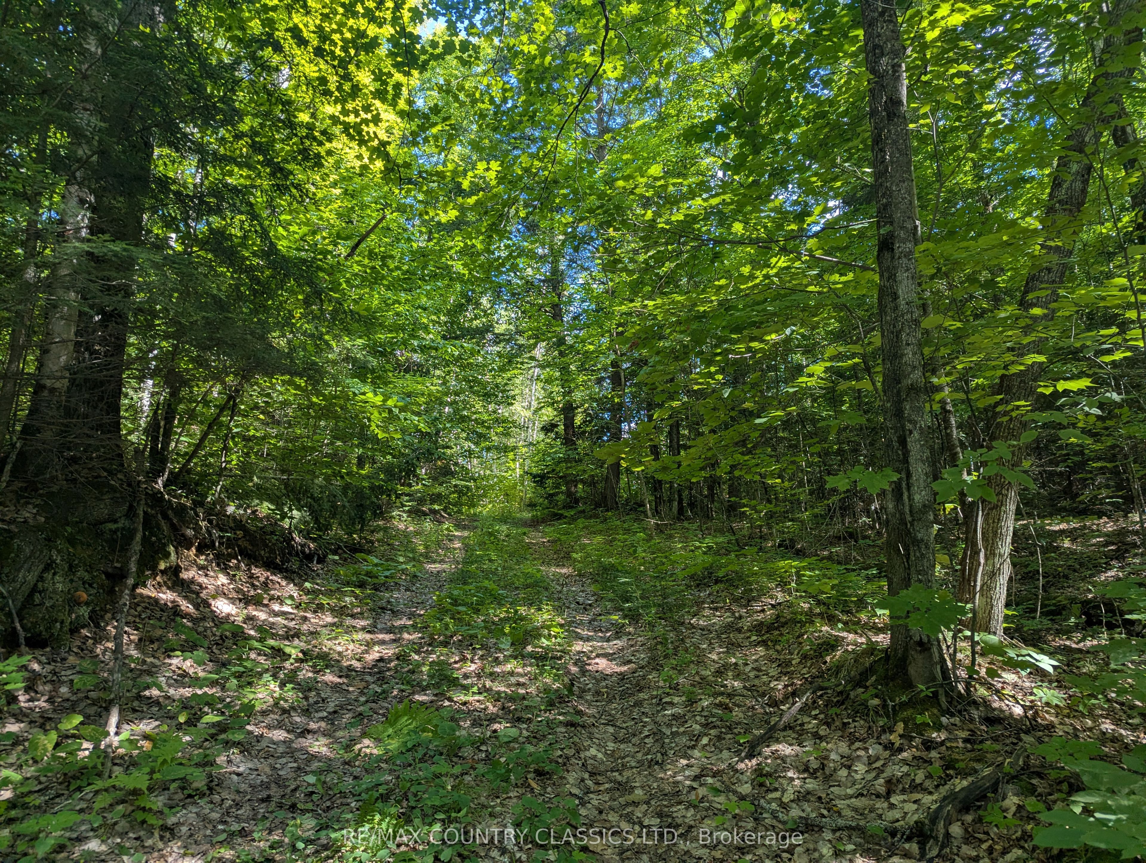 3557 Mountainview Road, Killaloe, Hagarty and Richards, ON K0J 2A0 photo 3