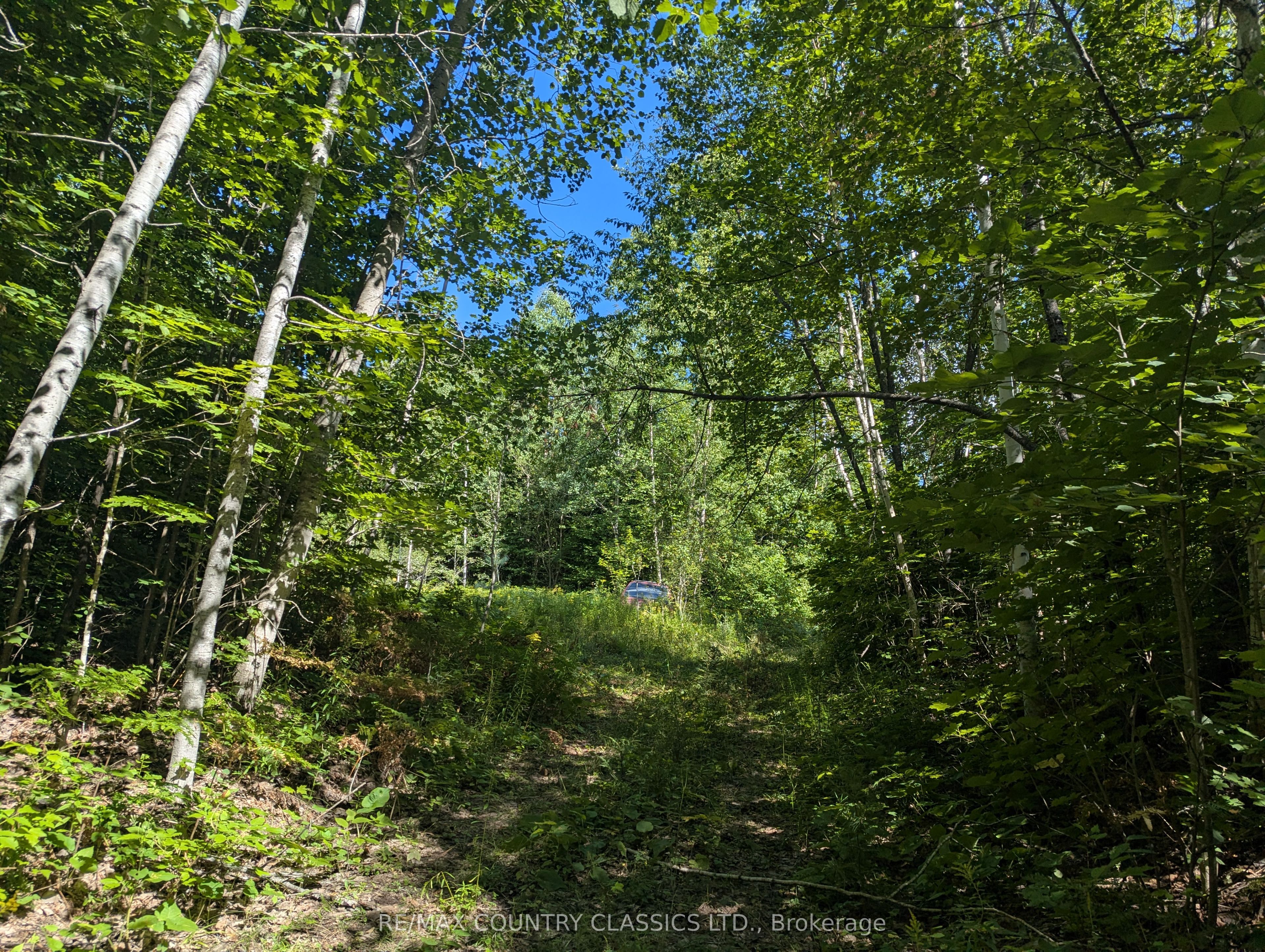3557 Mountainview Road, Killaloe, Hagarty and Richards, ON K0J 2A0 photo 4