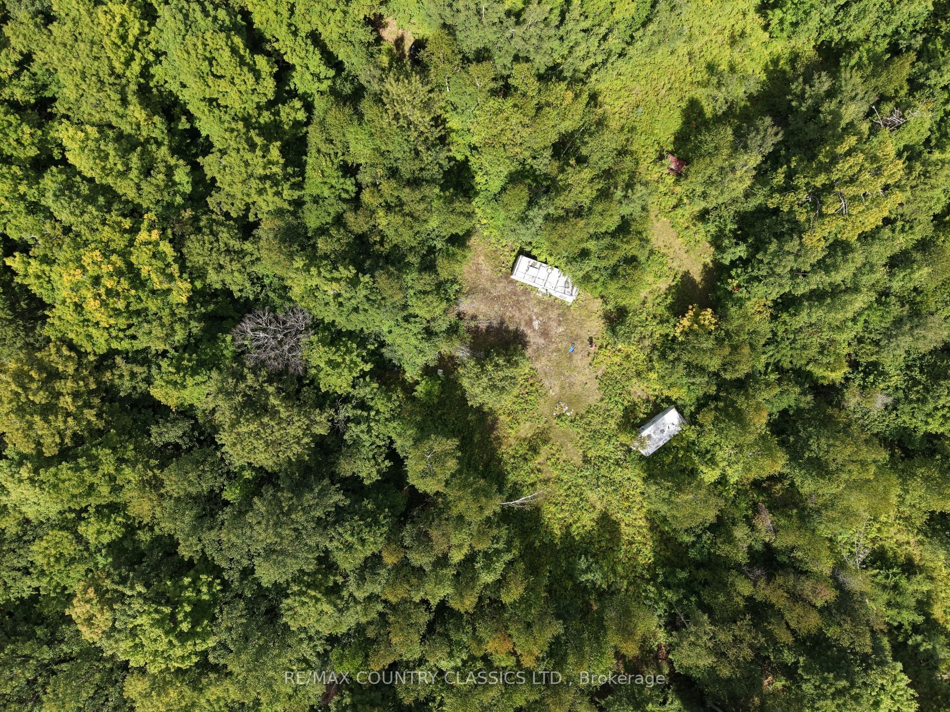 3557 Mountainview Road, Killaloe, Hagarty and Richards, ON K0J 2A0 photo 5