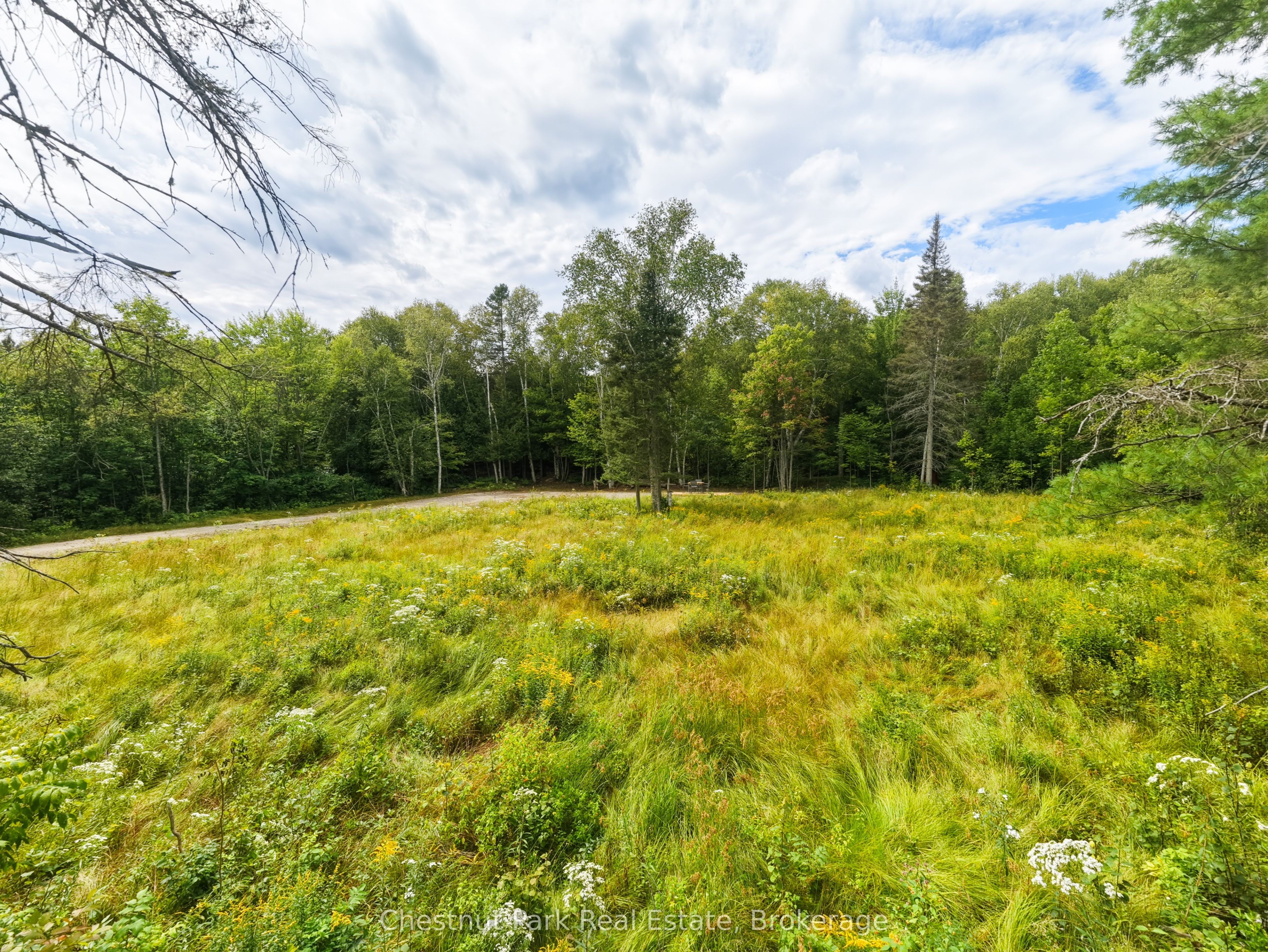 106 Golf Course Road, Magnetawan, ON P0A 1P0 photo 5