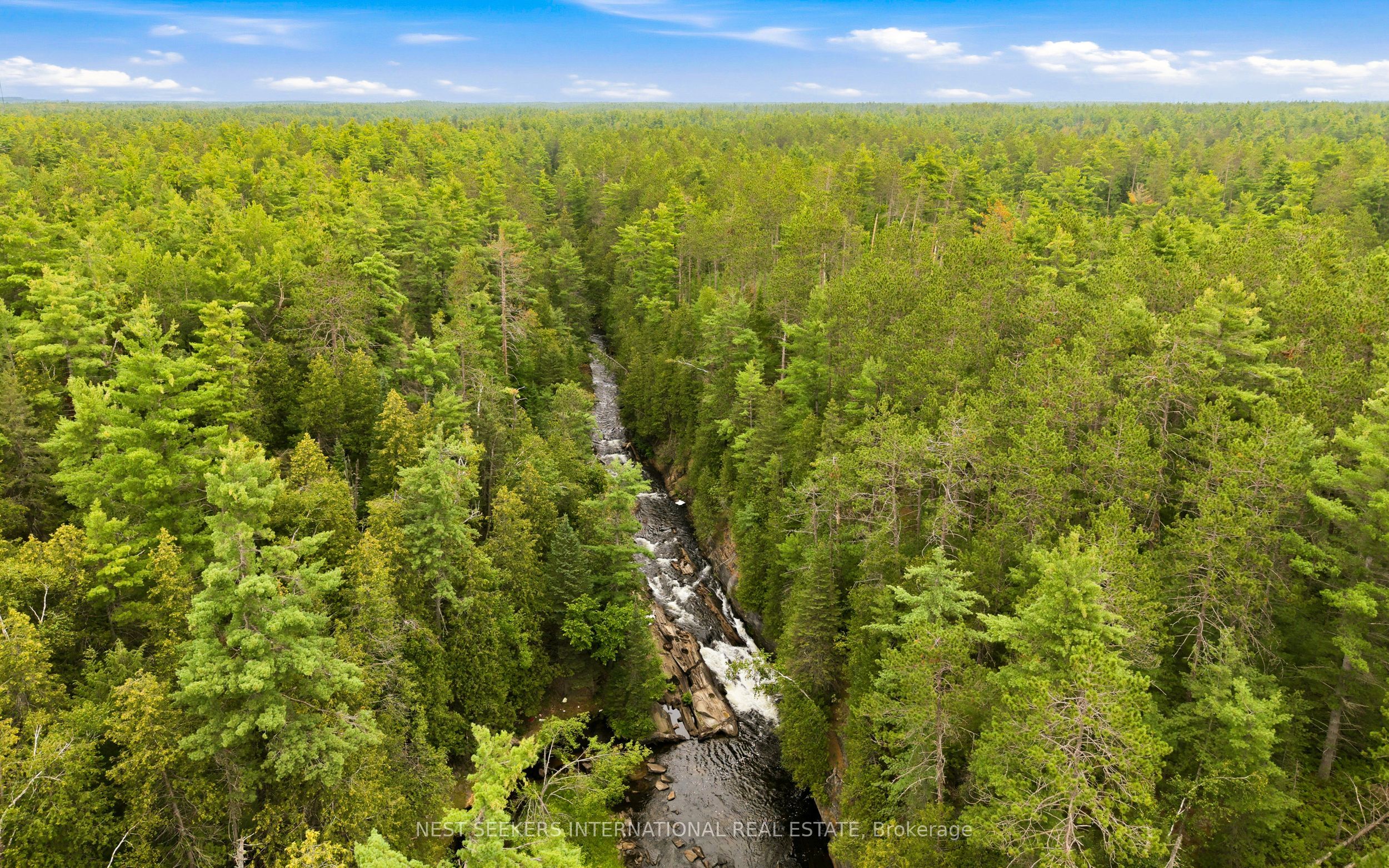 7953 Highway 28, North Kawartha, ON K0L 3E0 photo 3