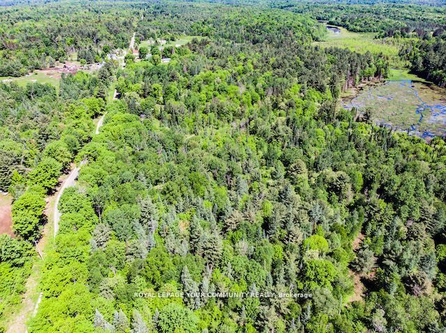 1219 Uffington Road, Bracebridge, ON P1L 1X1 photo 4
