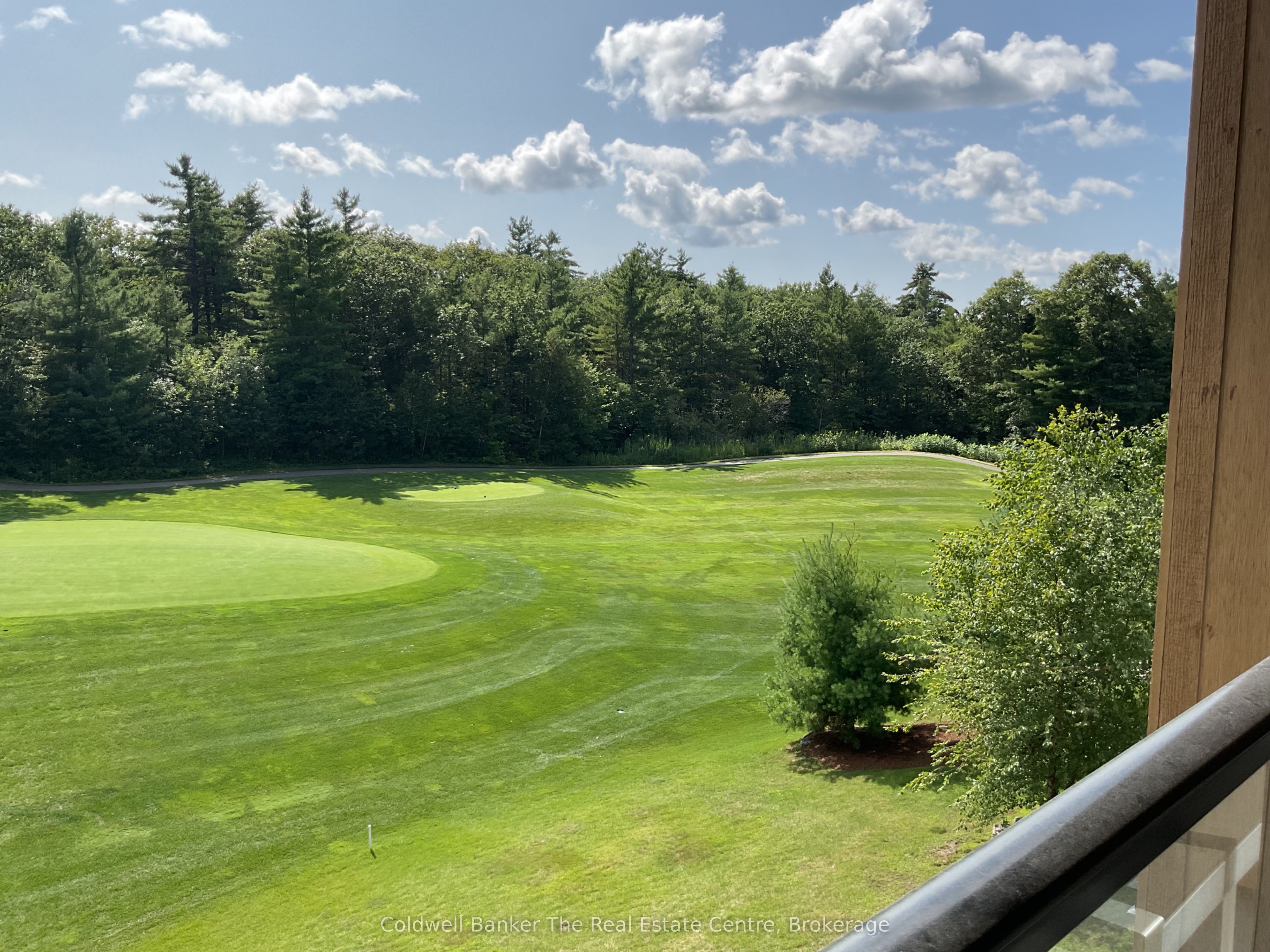 120 Carrick Trail 305, Gravenhurst, ON P1P 0B6 photo 3