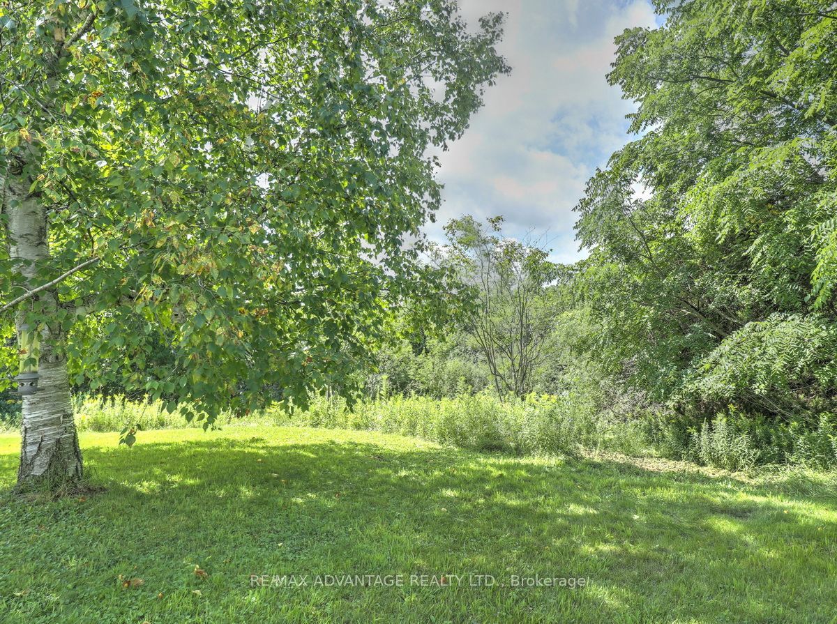 45 Agincourt Gardens, London South, ON N5Z 4E5 photo 4
