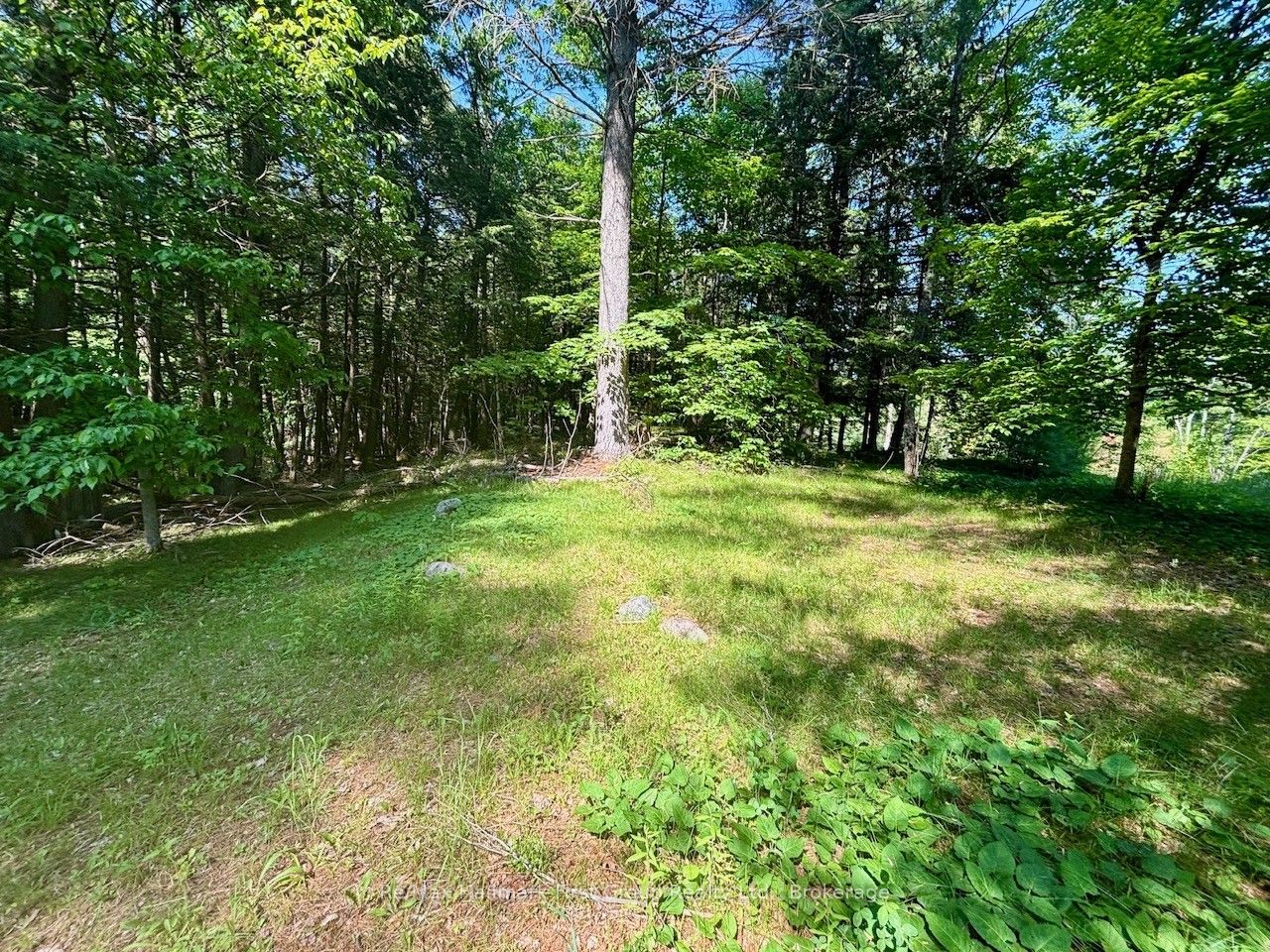 2495 Flinton Road, Addington Highlands, ON K0H 1P0 photo 2