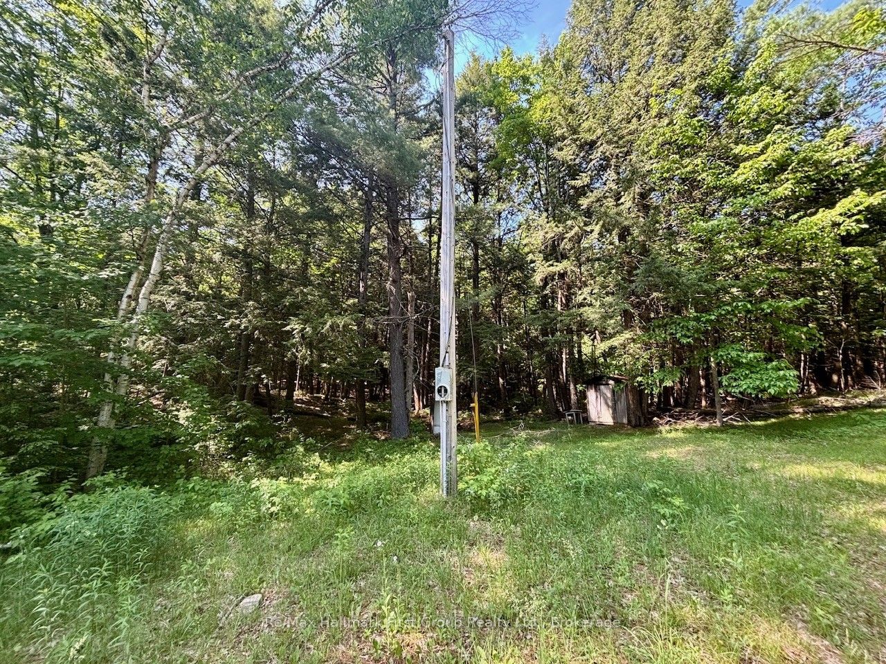 2495 Flinton Road, Addington Highlands, ON K0H 1P0 photo 5