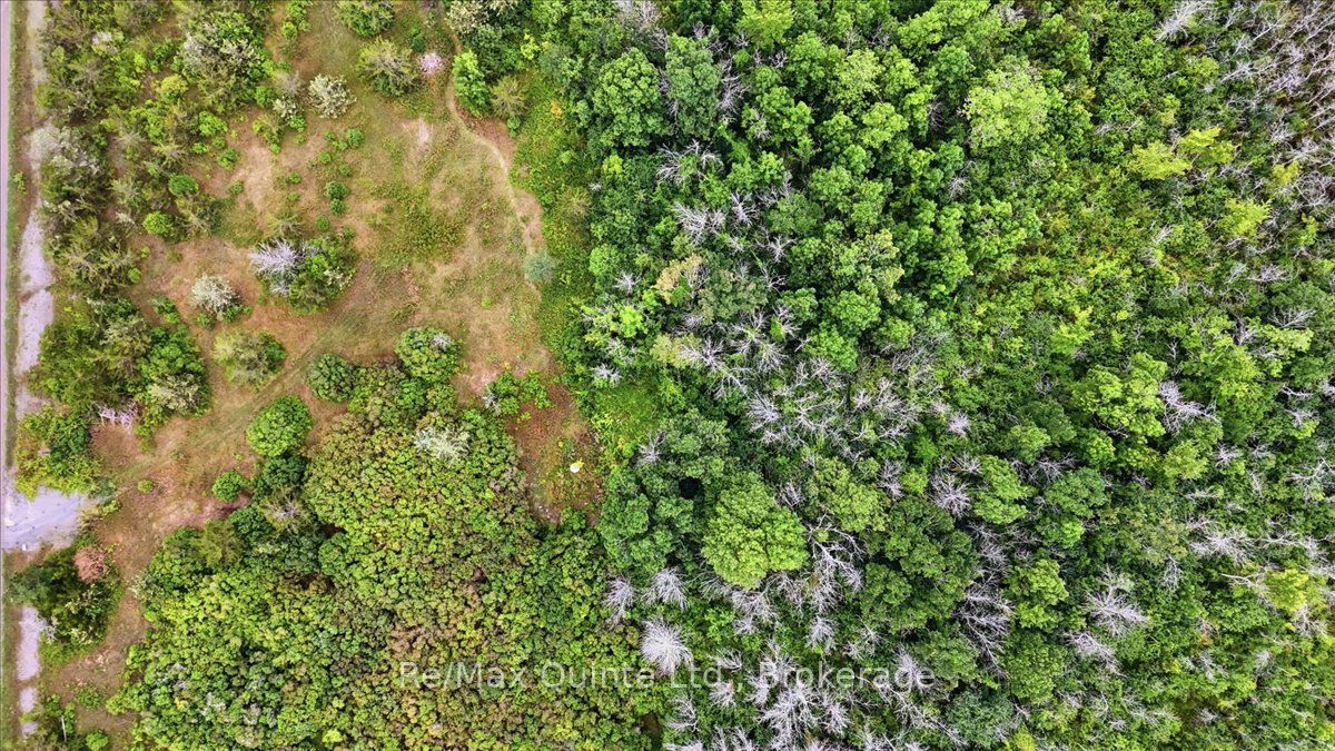 625 Babylon Road, Prince Edward County, ON K0K 2T0 photo 3