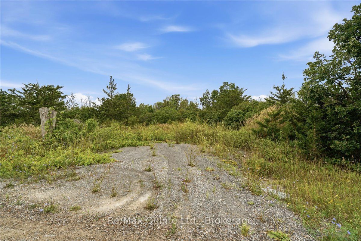 625 Babylon Road, Prince Edward County, ON K0K 2T0 photo 5