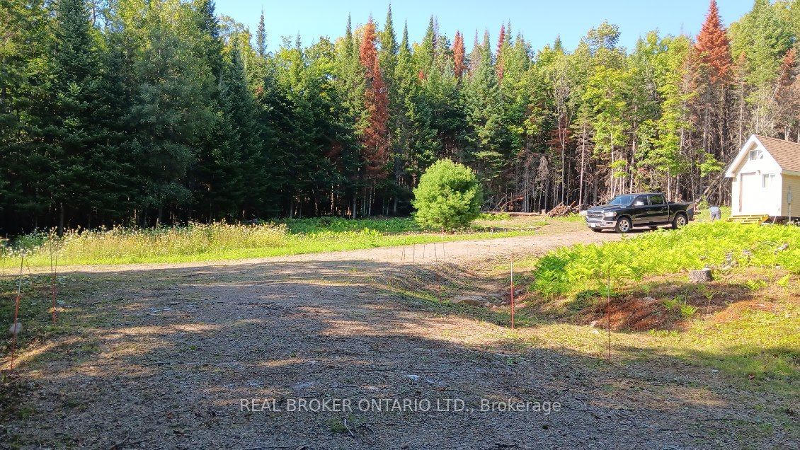 1555 Minnicock Lake Road, Dysart et al, ON K0M 1S0 photo 4