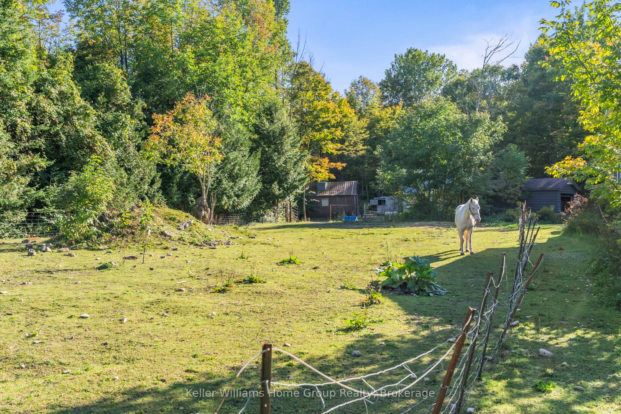 125 North Diagonal Road, South Bruce Peninsula, ON N0H 2T0 photo 4