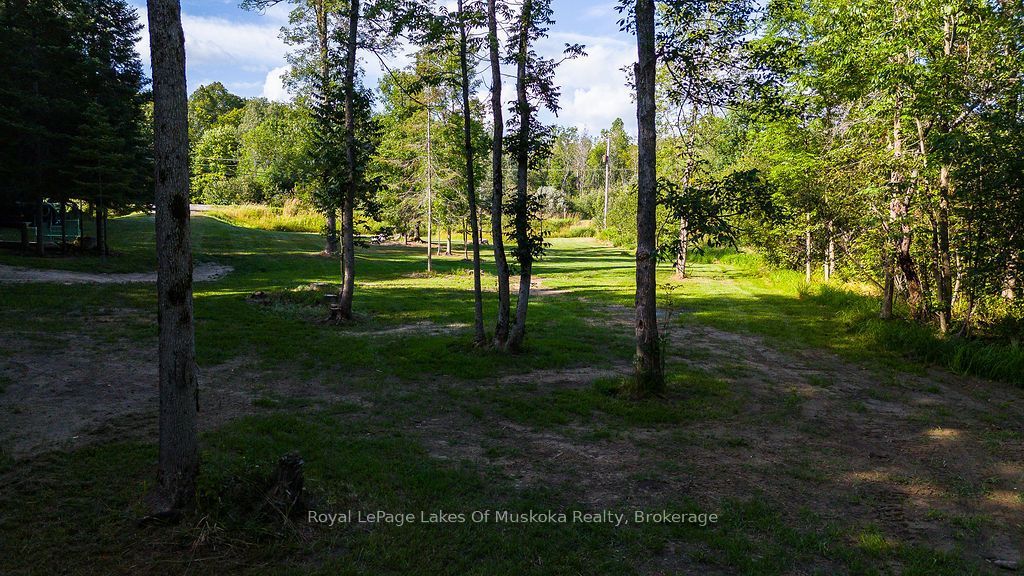 0 #520 Highway, Magnetawan, ON P0A 1P0 photo 4