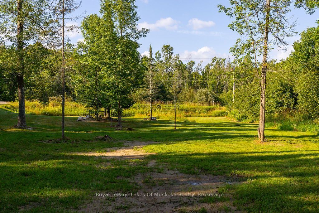 0 #520 Highway, Magnetawan, ON P0A 1P0 photo 5