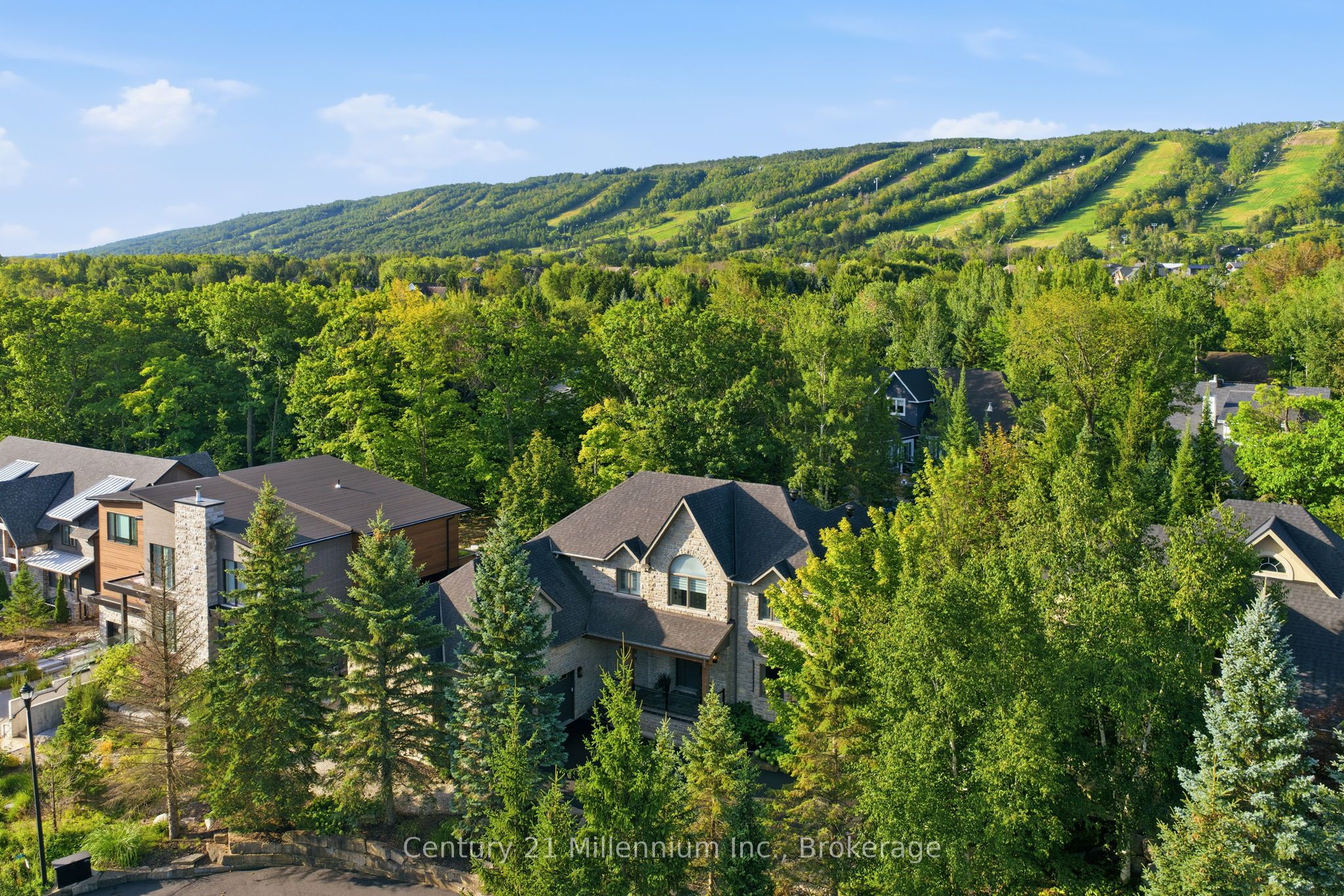 129 Blueski George Crescent, Blue Mountains, ON L9Y 0S9 photo 4