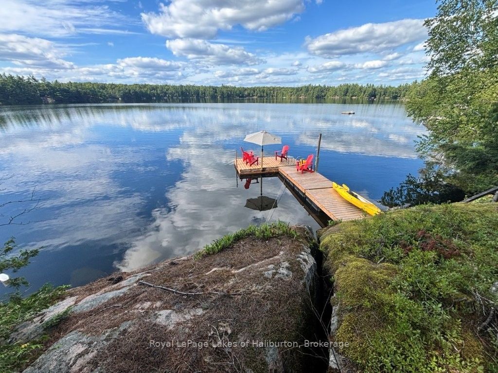 481 Crego Lake Road, Kawartha Lakes, ON K0M 2A0 photo 5