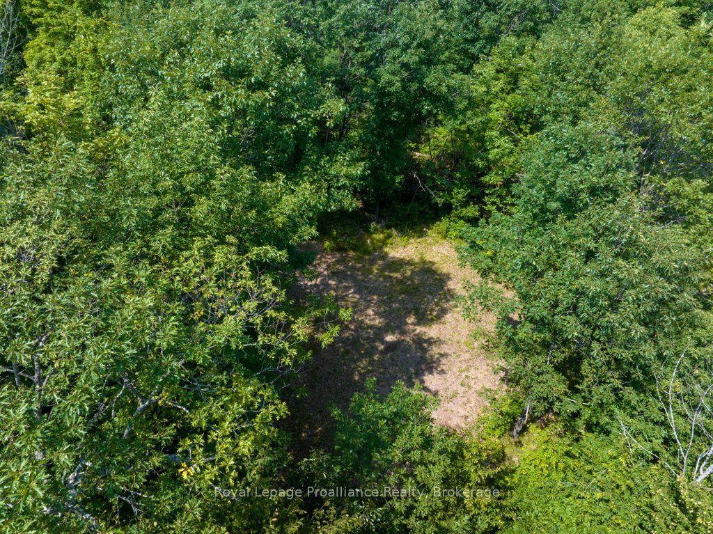1412 Baker Valley Road Lot 1, Central Frontenac, ON K0H 1B0 photo 4