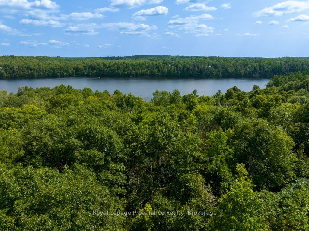 1412 Baker Valley Road Lot 1, Central Frontenac, ON K0H 1B0 photo 5