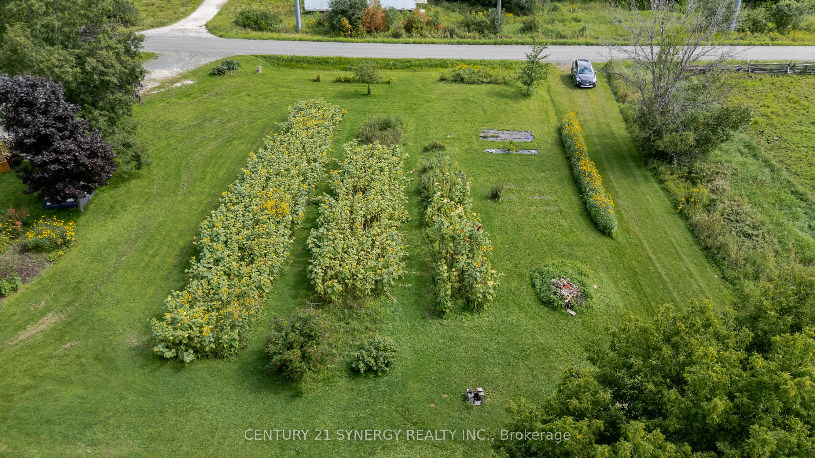677 Bowes Side Road, Tay Valley, ON K7H 3C6 photo 5