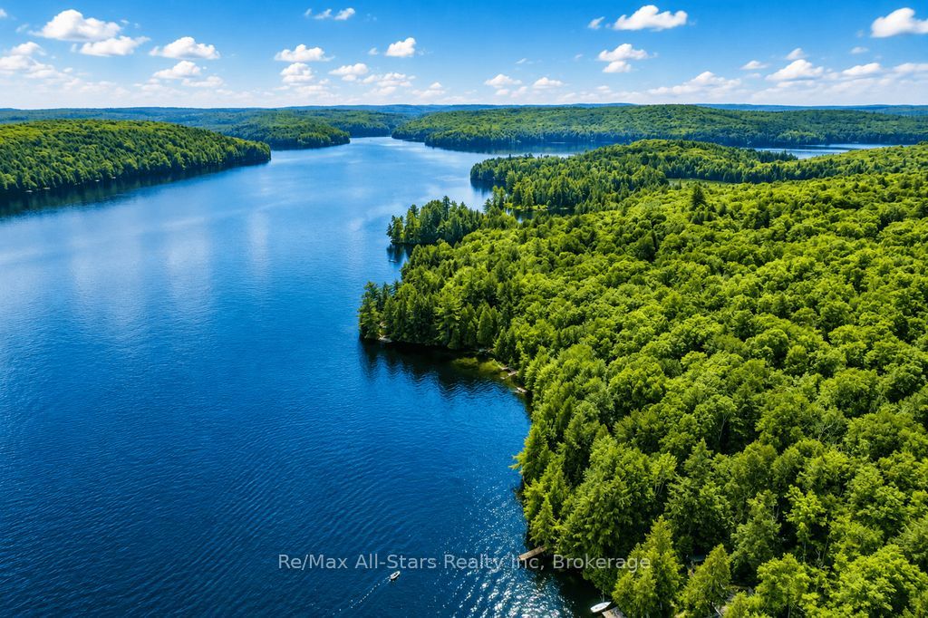 1142 Smoke Lake, South Algonquin, ON P0A 1H0 photo 3