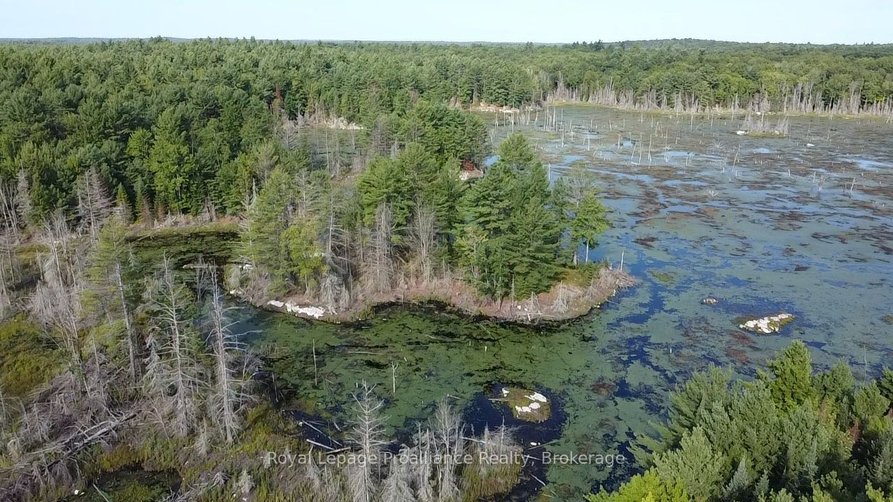PL29C10 Kennebec Road, Addington Highlands, ON K0H 2G0 photo 2