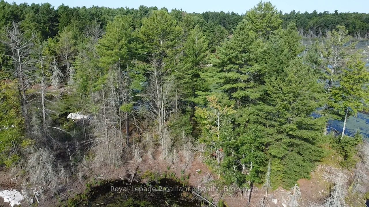 PL29C10 Kennebec Road, Addington Highlands, ON K0H 2G0 photo 3