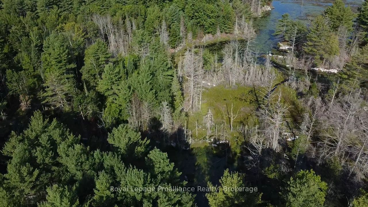PL29C10 Kennebec Road, Addington Highlands, ON K0H 2G0 photo 5