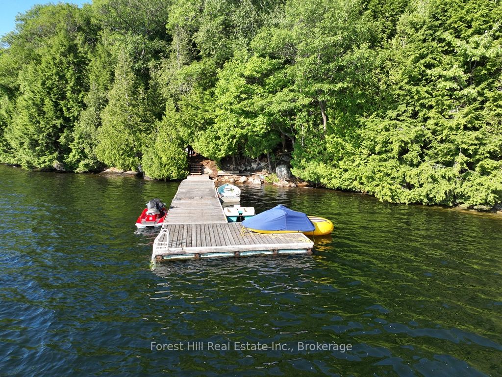 10689 Kawagama Lake WAO, Algonquin Highlands, ON P0A 1E0 photo 3