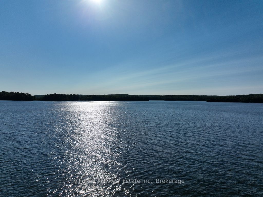 10689 Kawagama Lake WAO, Algonquin Highlands, ON P0A 1E0 photo 5
