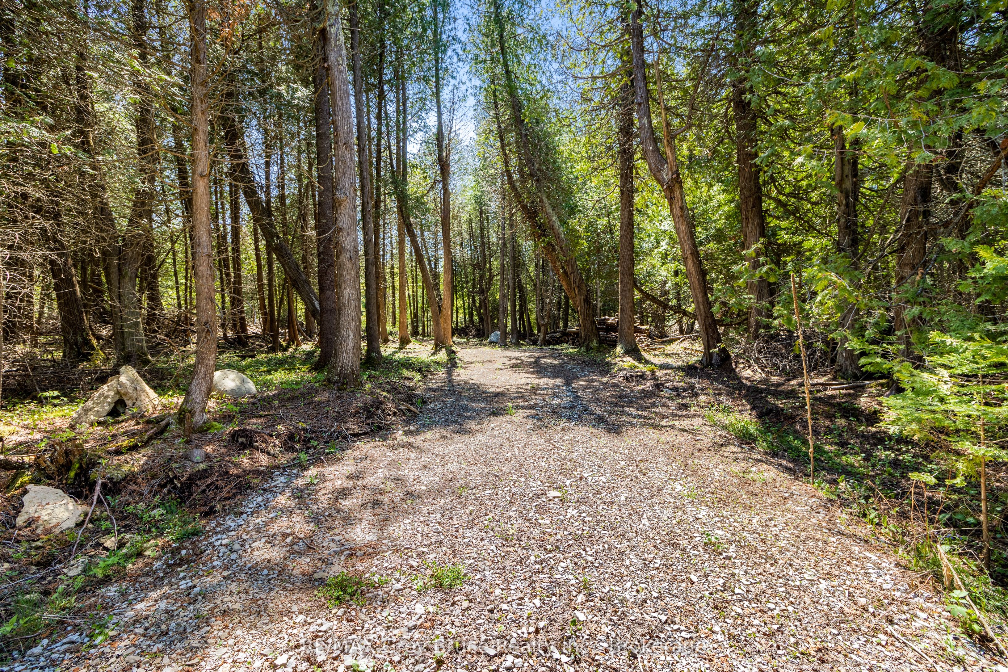 228 COREY Crescent, Northern Bruce Peninsula, ON N0H 2R0 photo 5