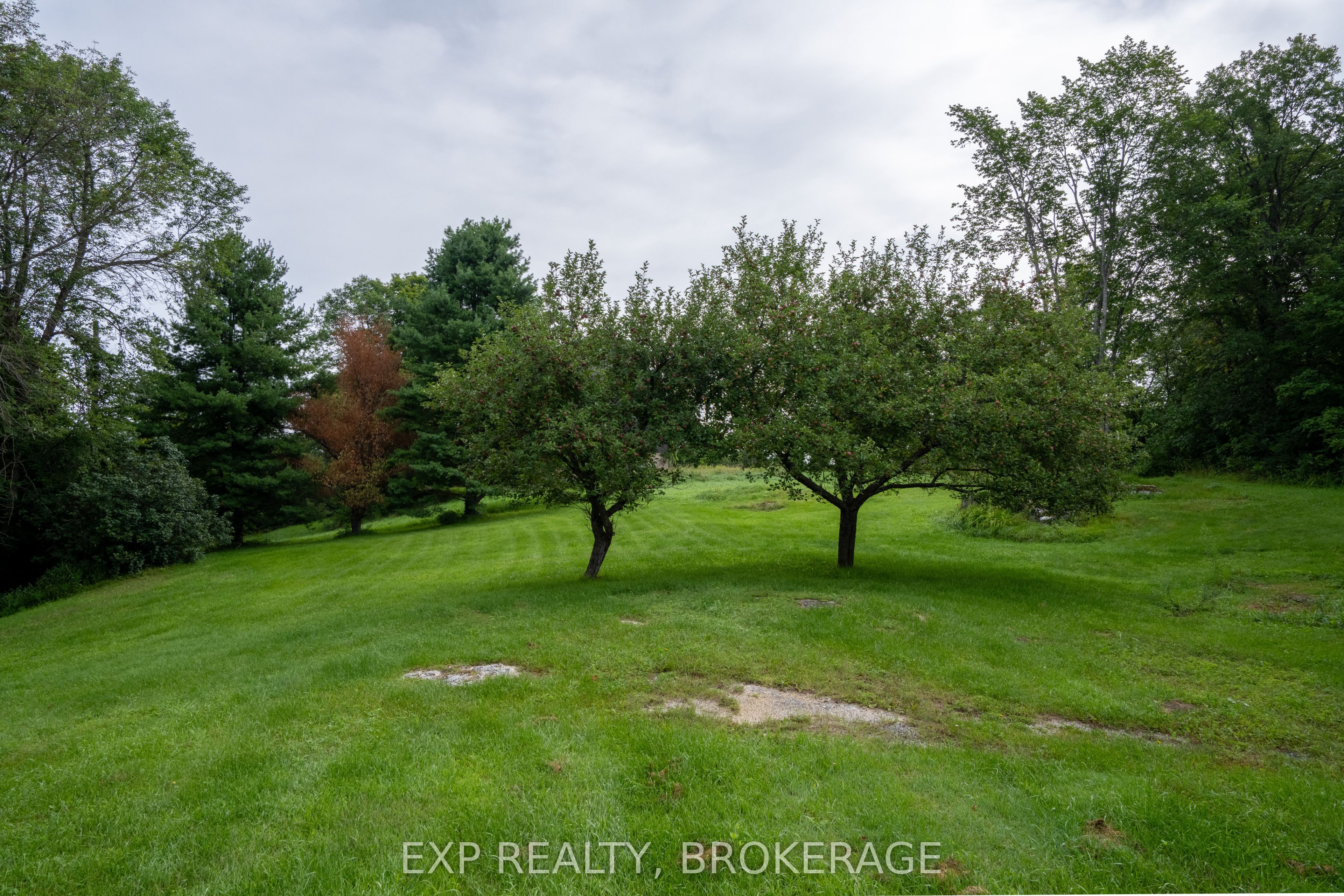 279 Munro Road, Tay Valley, ON K0H 2B0 photo 5