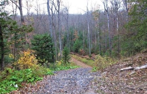 1827 Hybla Road, Hastings Highlands, ON K0L 1C0 photo 3