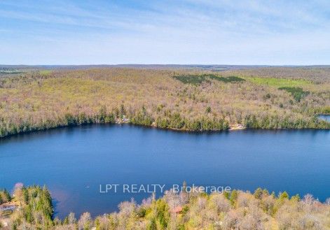 1827 Hybla Road, Hastings Highlands, ON K0L 1C0 photo 5