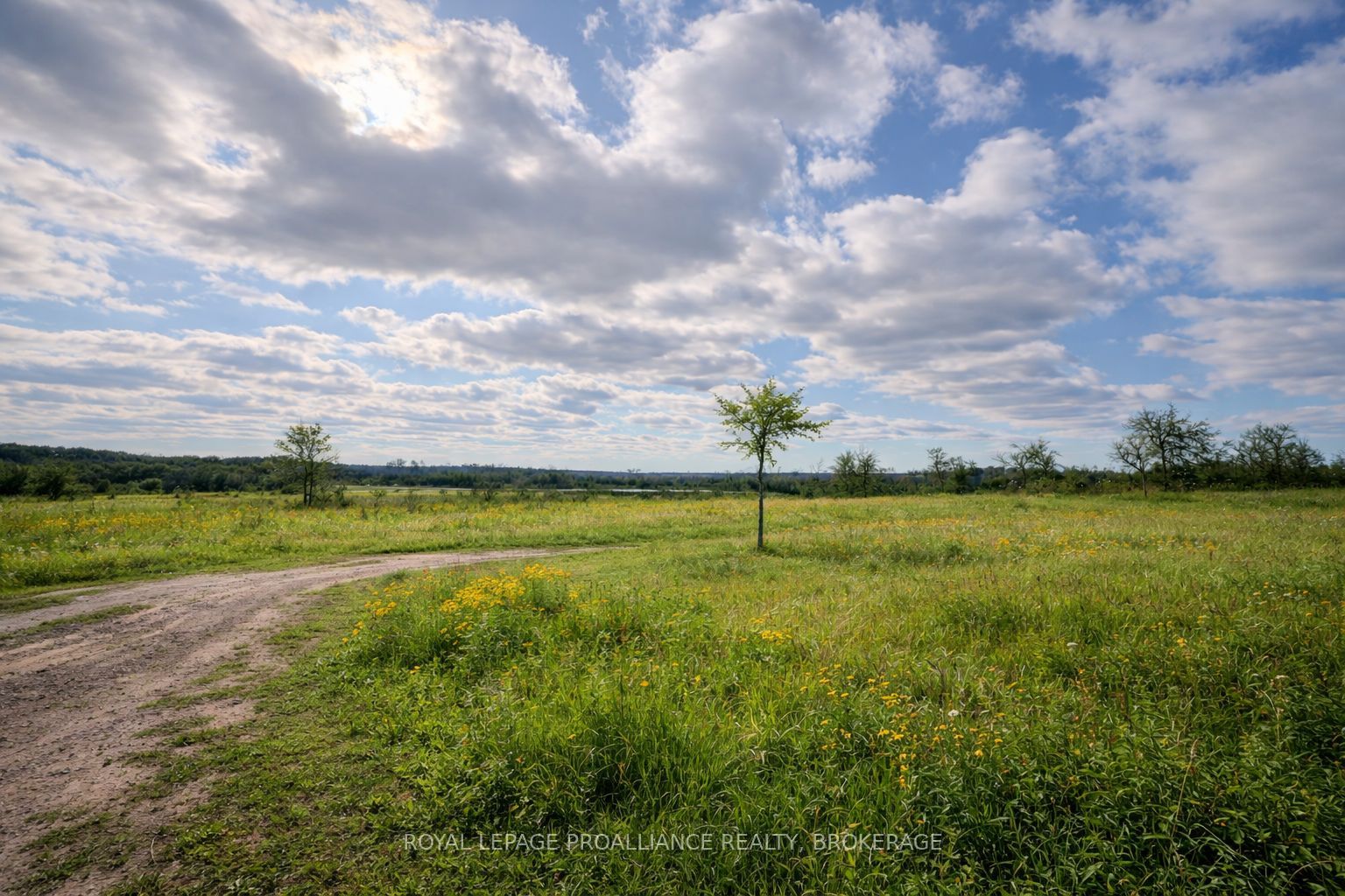 PT LT 37 McGarvey Road, Frontenac, ON K0H 1X0 photo 4