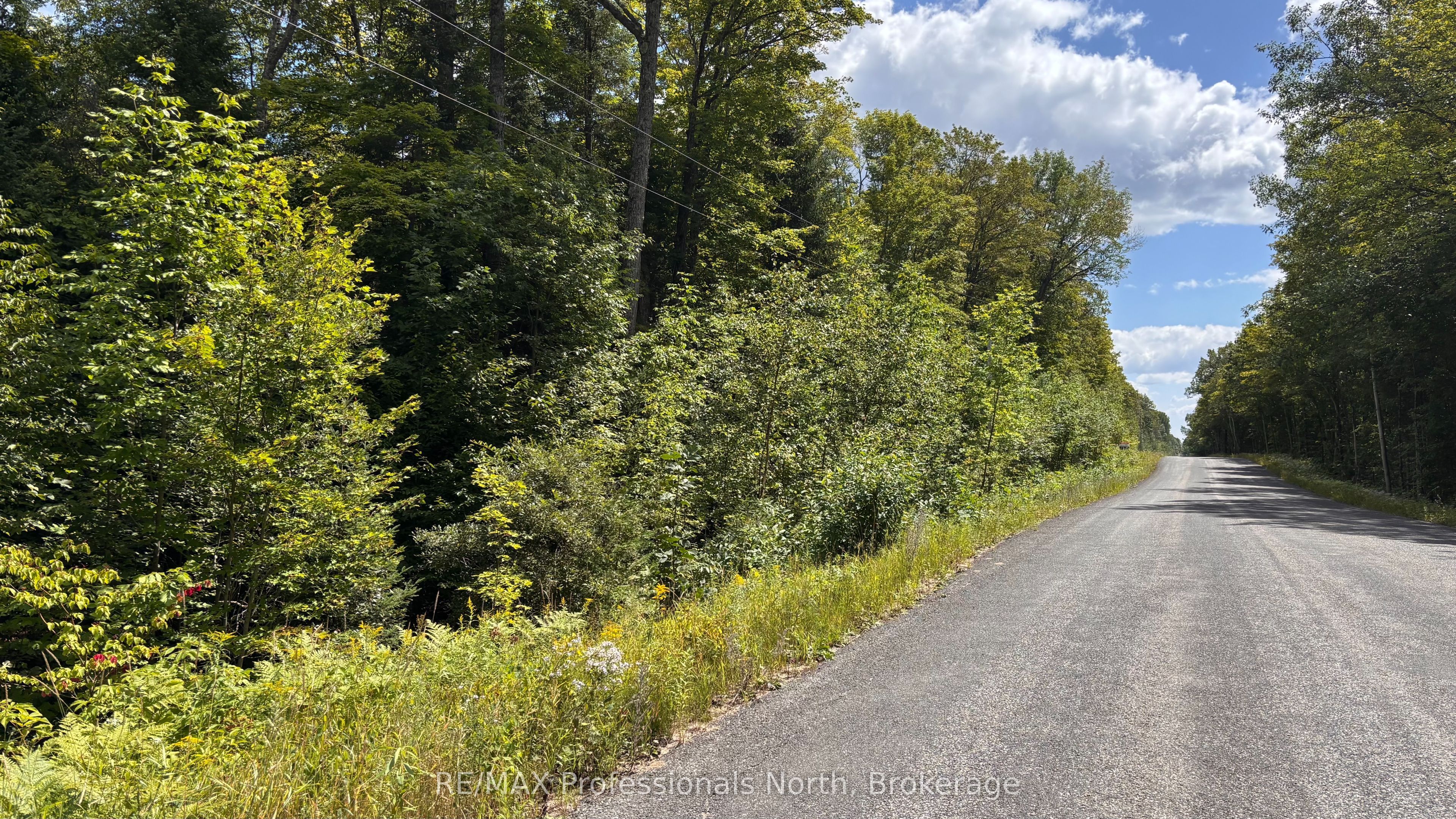 0 Glamor Lake Road, Highlands East, ON K0M 1R0 photo 4