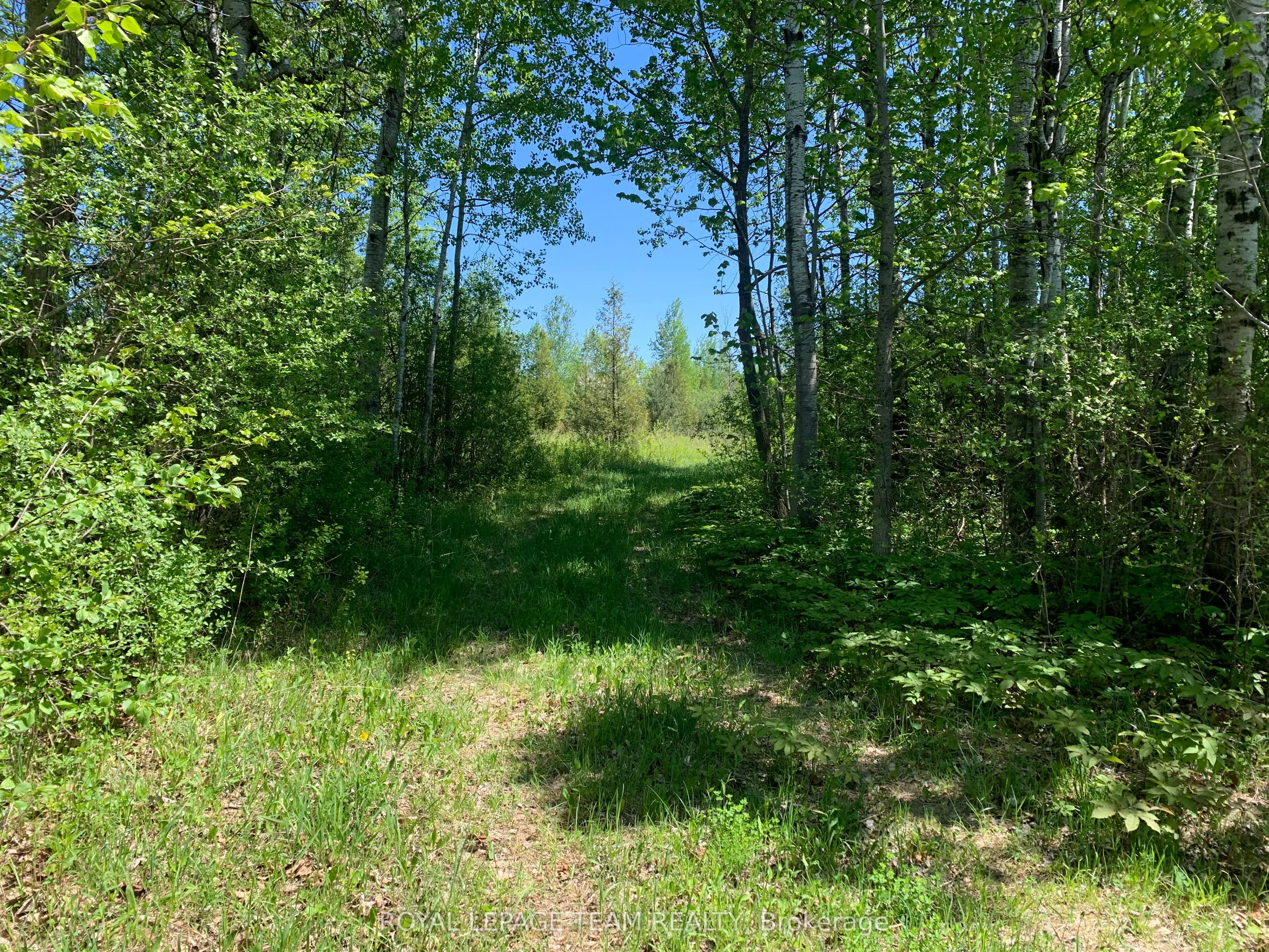 00 Bolton Road, Merrickville-Wolford, ON K0G 1R0 photo 2