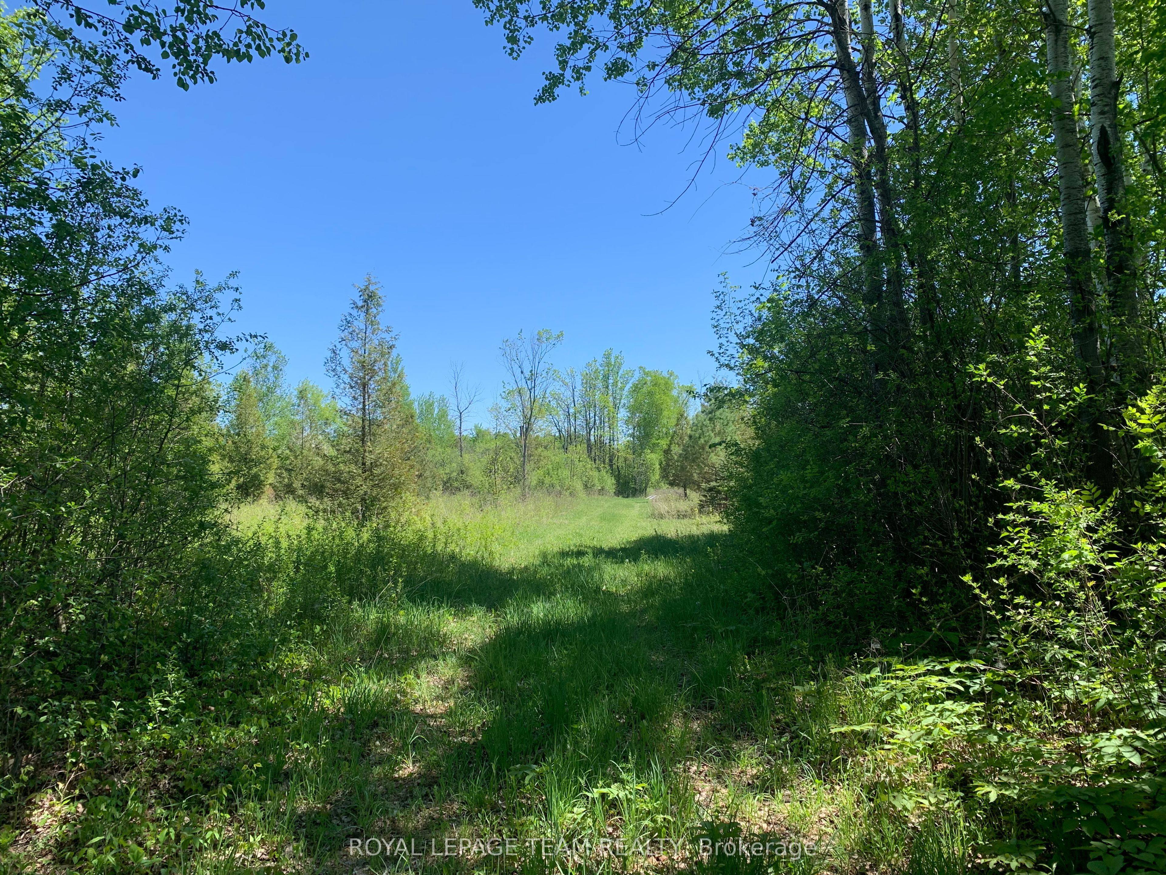 00 Bolton Road, Merrickville-Wolford, ON K0G 1R0 photo 3