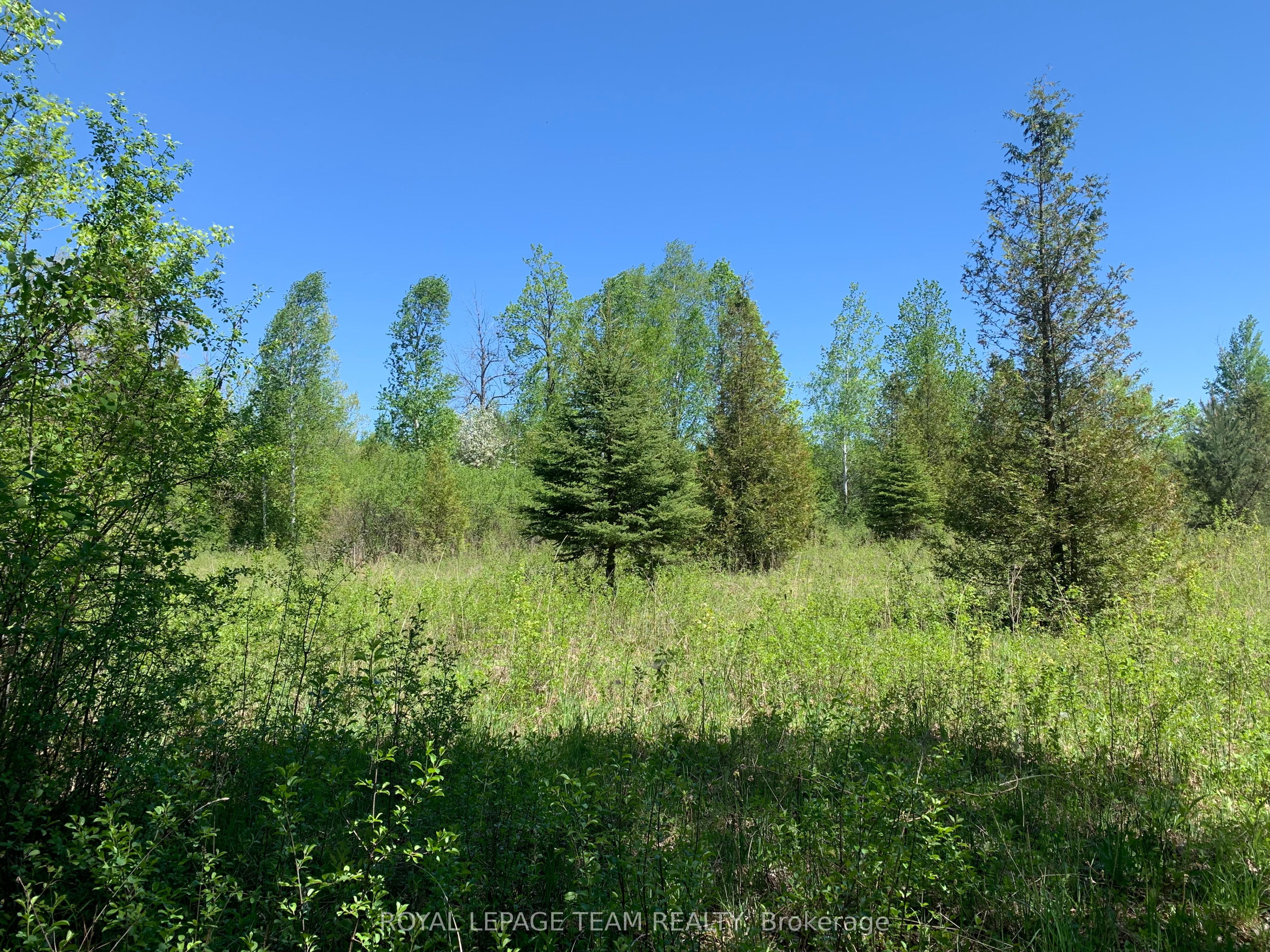00 Bolton Road, Merrickville-Wolford, ON K0G 1R0 photo 4