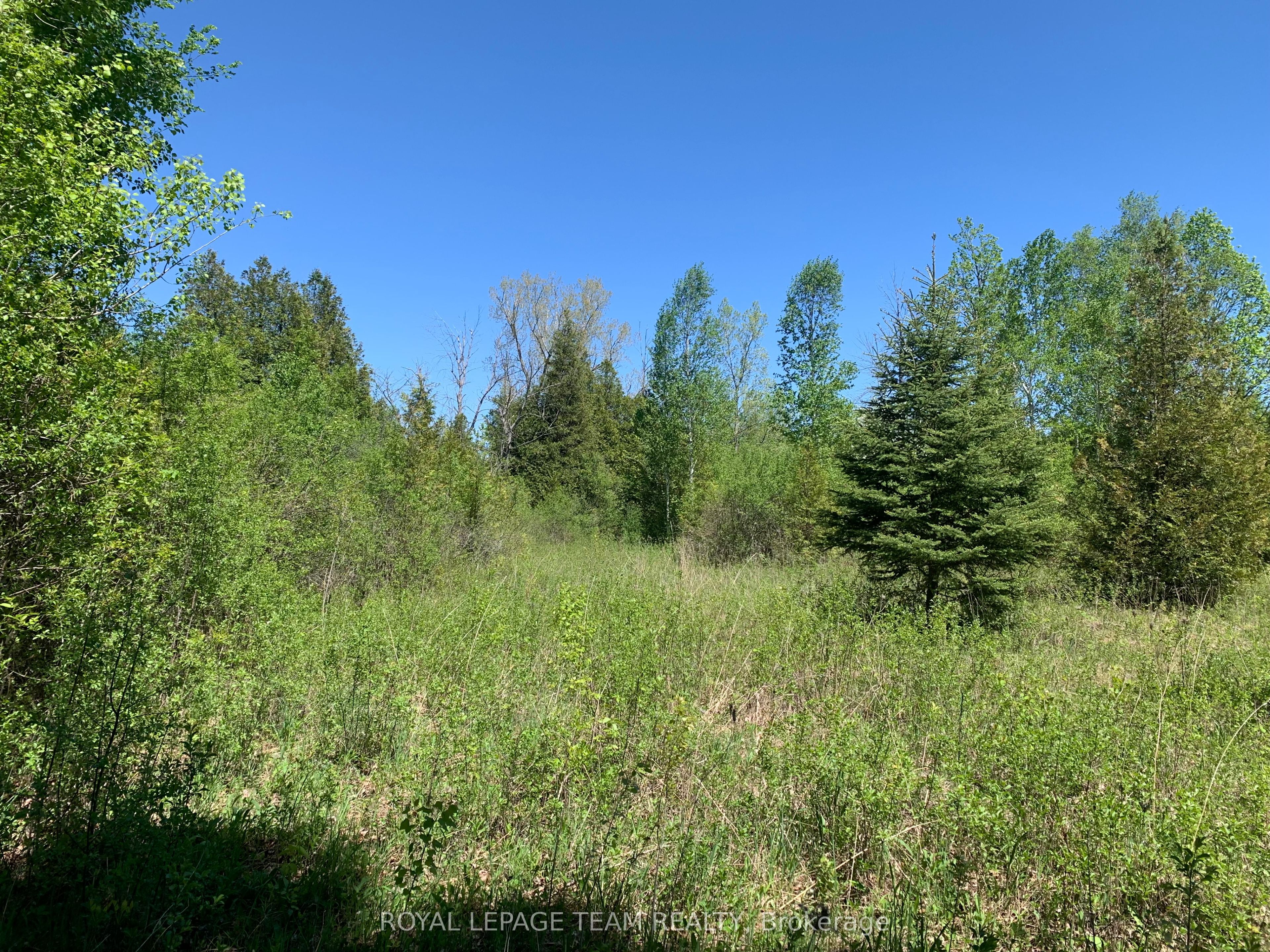 00 Bolton Road, Merrickville-Wolford, ON K0G 1R0 photo 5