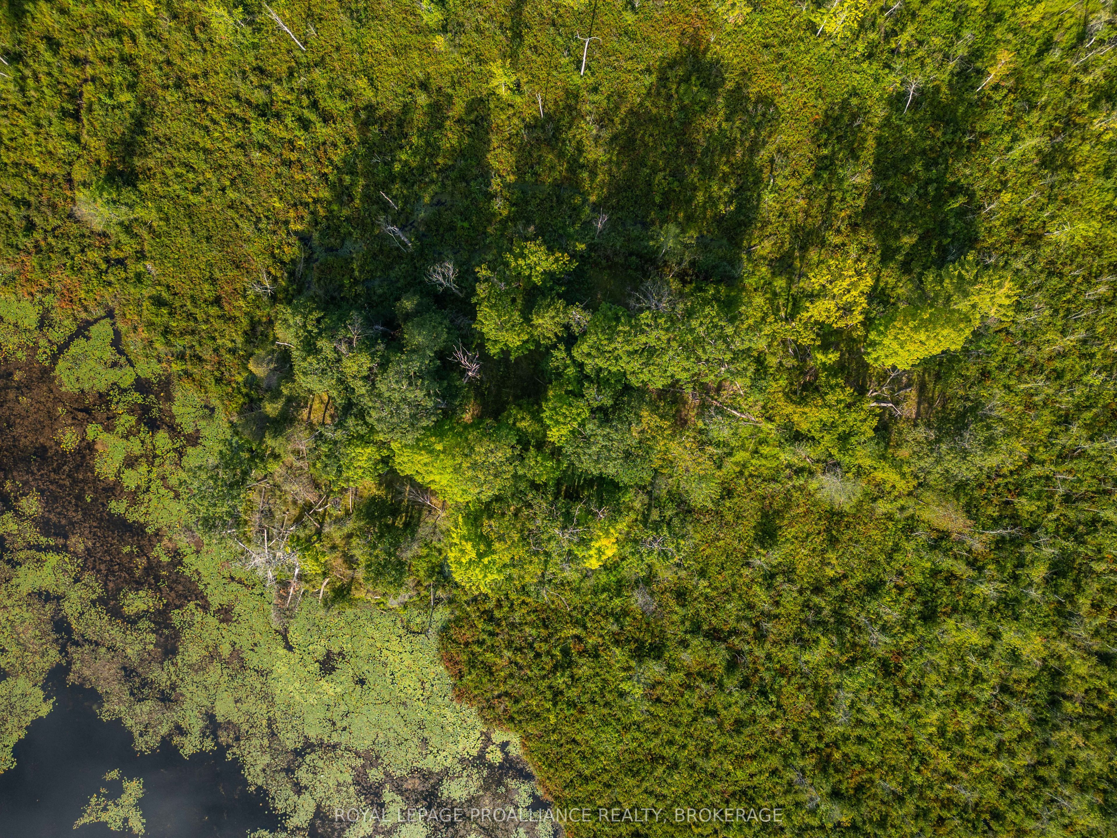 Con 11, Lot 6 Hinchinbrooke Road, Frontenac, ON K0H 1W0 photo 5