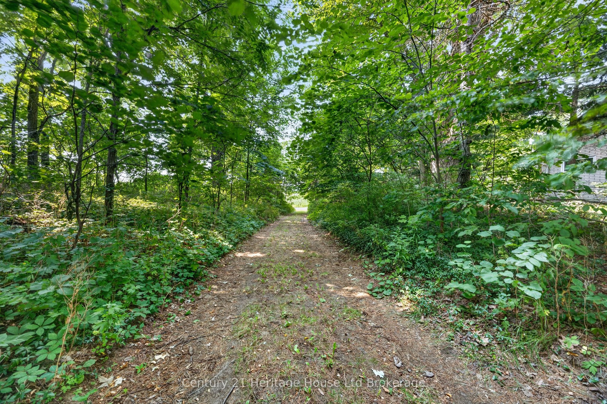 55728 Maple Grove Line, Bayham, ON N0J 1Y0 photo 3